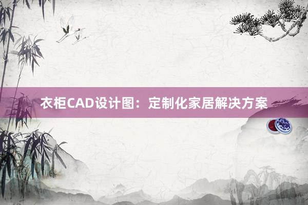 衣柜CAD设计图：定制化家居解决方案