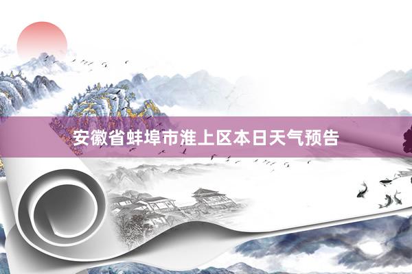 安徽省蚌埠市淮上区本日天气预告